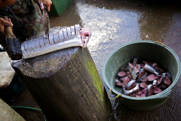 Omega-3 fortified sausages? The case for enriching foods with fish by-products