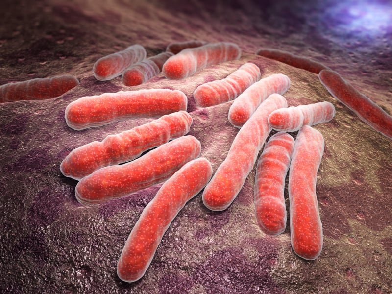 e.col-pathogen-bacteria-iLexx.jpg