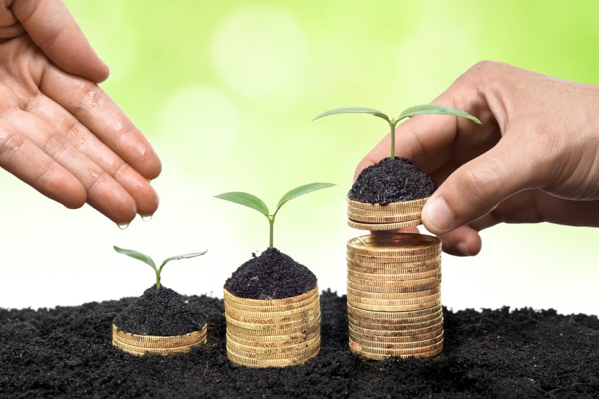 green-environment-sustainability-invest-iStock.com-weerapatkiatdumrong.jpg