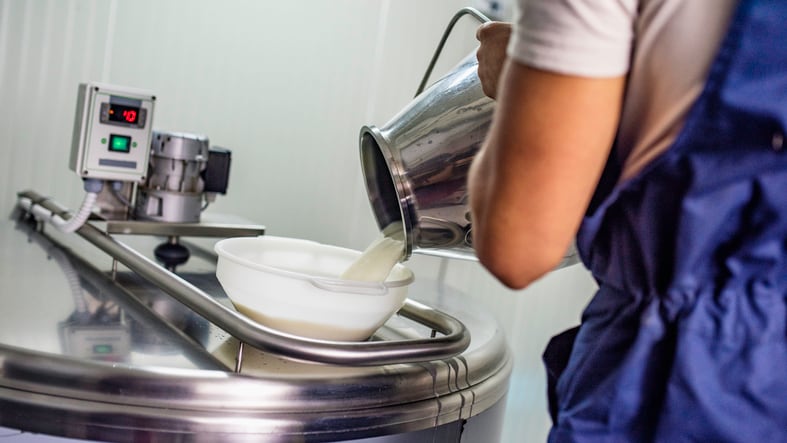 Daisy-Lab-teams-with-dairies-to-scale-bioidentical-proteins.jpg