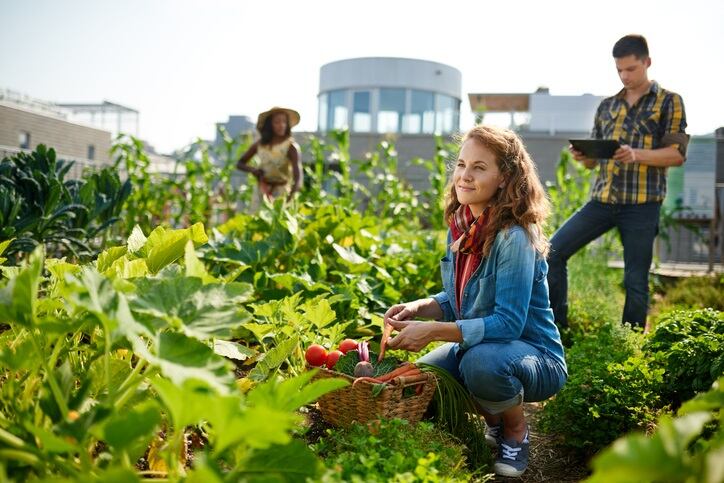 Stakeholders-across-sectors-must-rebuild-trust-before-they-can-create-a-sustainable-food-system.jpg