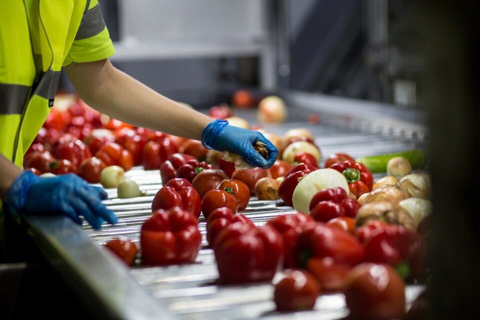PepsiCo eyes growth for sustainable gazpacho brand Alvalle