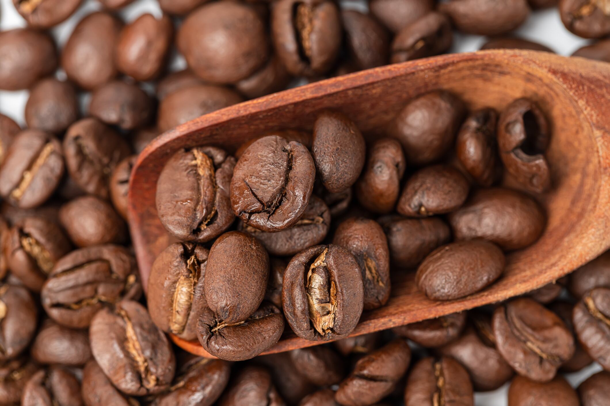 ‘No Coffee Tax Act’ offers potential reprieve for US roasters