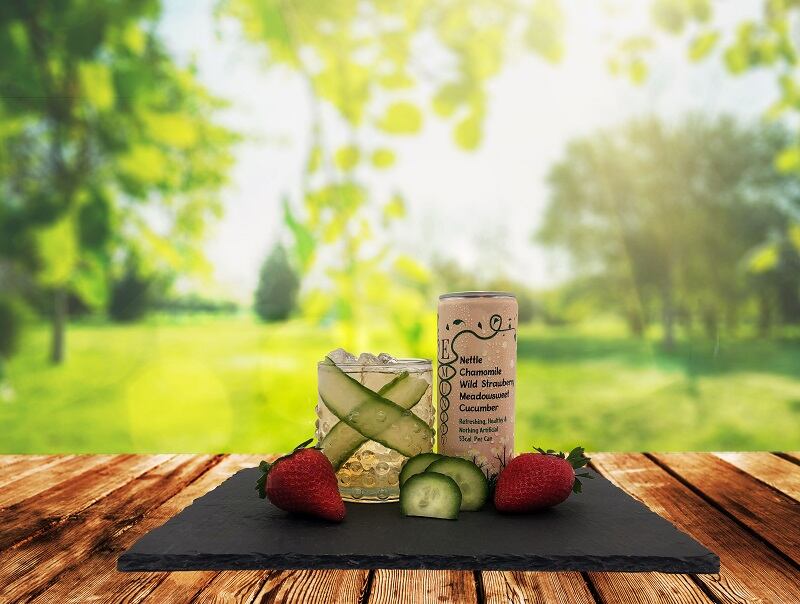Launch of first Stinging Nettle soft drink