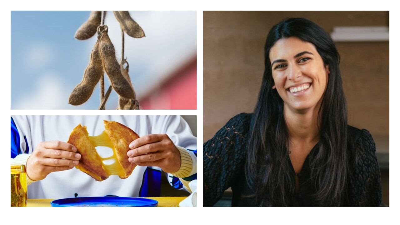 From-cows-to-microbes-to-plants-the-brave-new-world-of-animal-free-dairy-In-conversation-with-Nobell-Foods.jpg