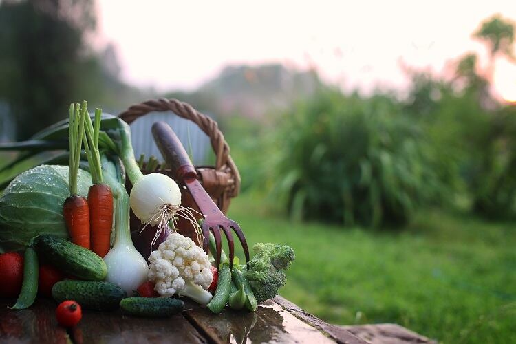 Momentum builds to block further F2F delays: ‘COVID-19 isn’t an excuse to delay EU Farm to Fork strategy’