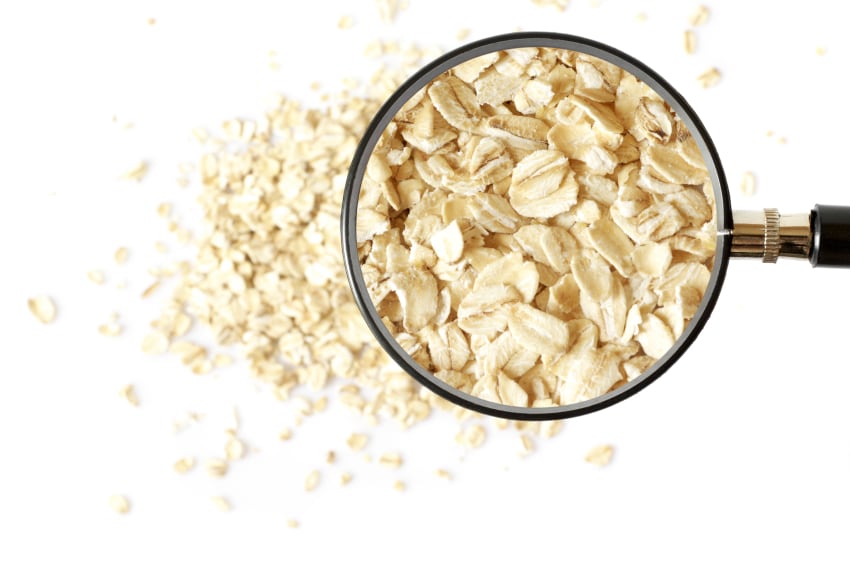 ‘The oat boom is just beginning’: Raisio eyes growing international demand in oats and plant-based