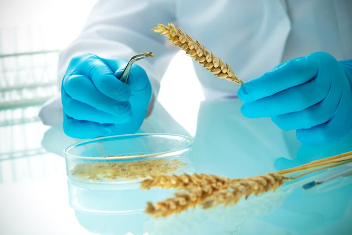 Post-Brexit Britain seeks to ‘unlock substantial benefits’ of gene editing