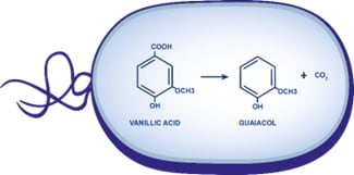 Figure-1-FN-2.jpg