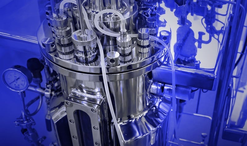 Beating the bioreactor bottleneck… German start-up plans ‘bigger and more out-of-the-box ways’ to scale cultivated meat