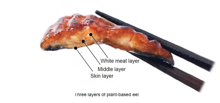 This for eel: Nissin pledges continued alternative protein NPD on the back of first product launch