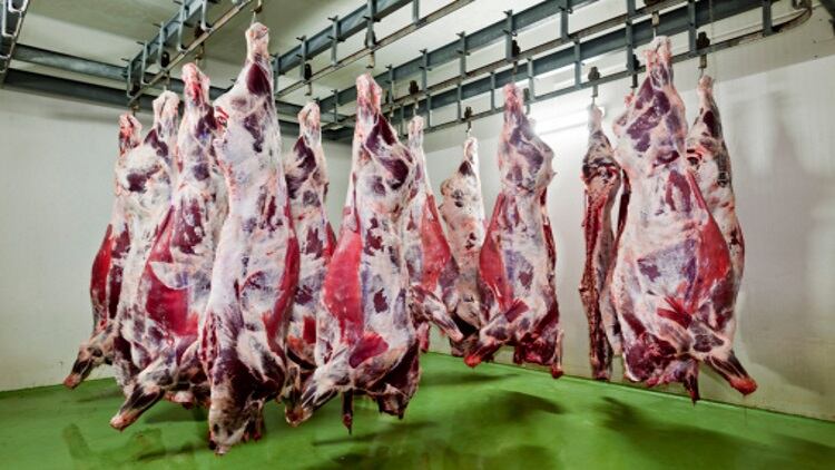 Cattle and lamb meat slaughters drop in Australia