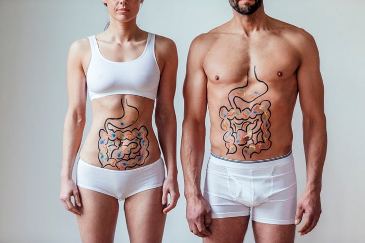 Gut health has become a mainstream priority