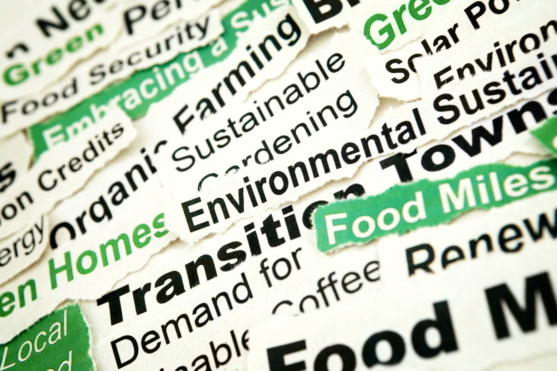 Locally sourced producer takes aim at supermarket food miles   