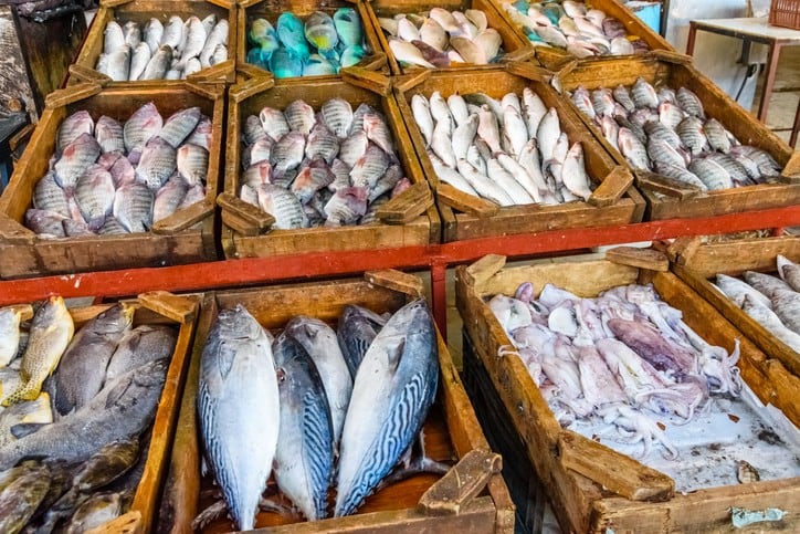 Egypt listeria testing: Bacteria most commonly detected in meat, fish, sausages and milk