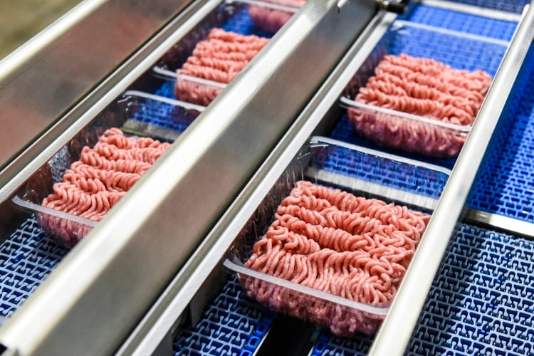 Tulip invests £1m in new processing line