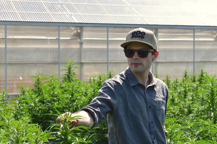 Evo Hemp: ‘Within six months we’ll be seeing CBD products in every major retailer’