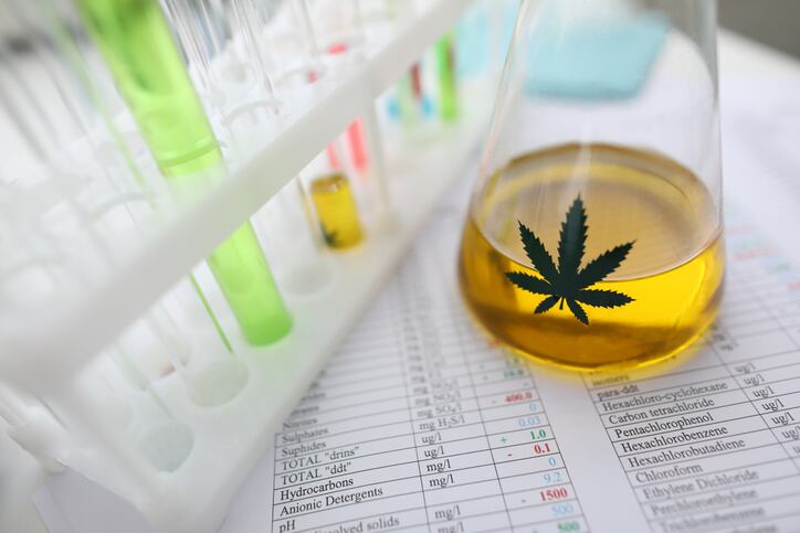 A-Christmas-wish-come-true-CBD-industry-celebrates-as-EC-resumes-Novel-Food-applications.jpg