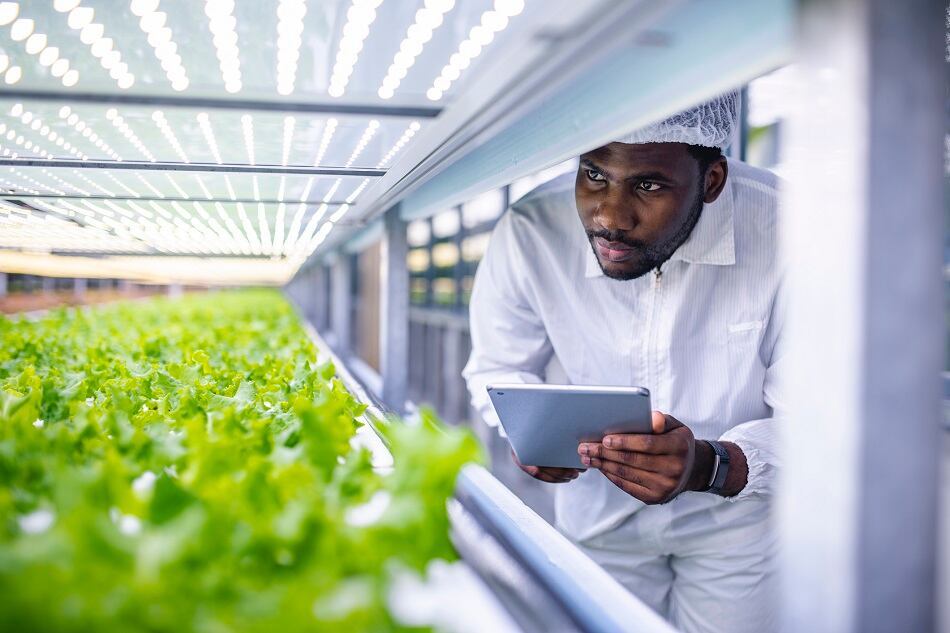 Agtech-startup-Koidra-raises-4.5m-in-seed-funding-to-advance-greenhouse-and-precision-agriculture-growing-methods.jpg