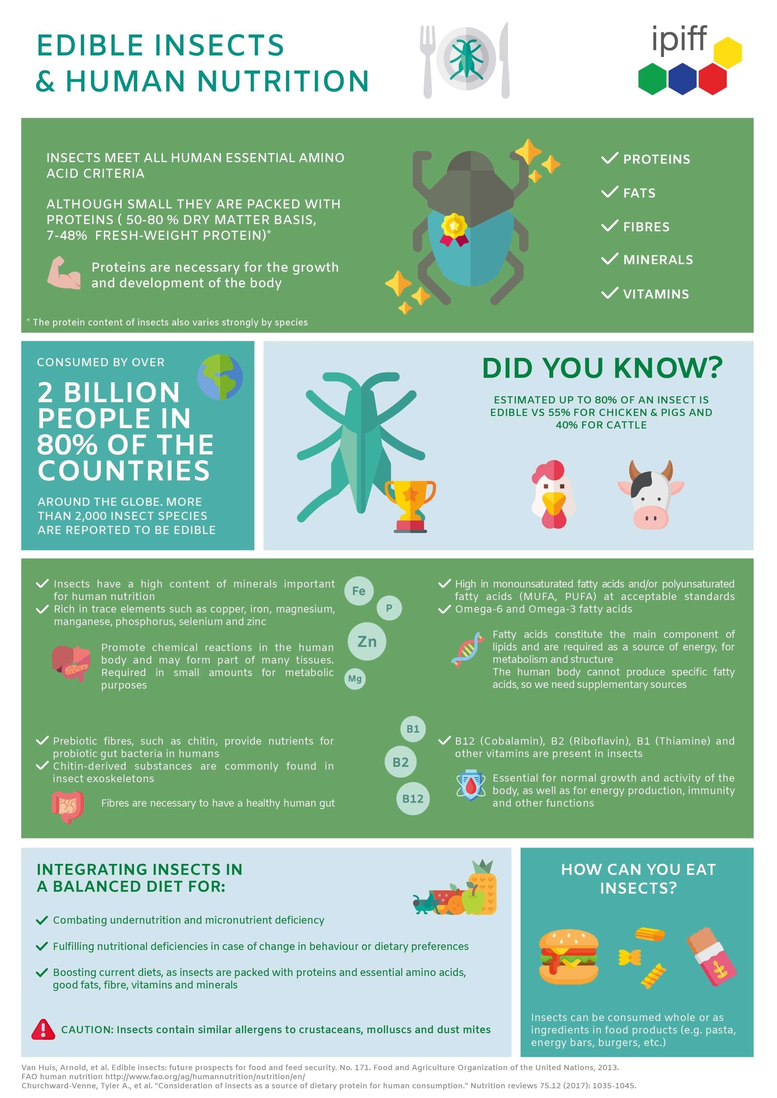 insect-factsheet.jpg
