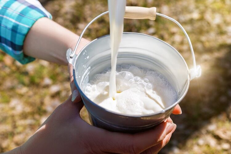 Nestlé’s top tip for communicating regen ag in dairy? ‘Show, don’t tell’
