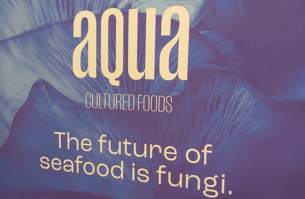 Aqua Cultured Foods’ hooks $5.5m to fast-track plant-based seafood from biomass fermentation