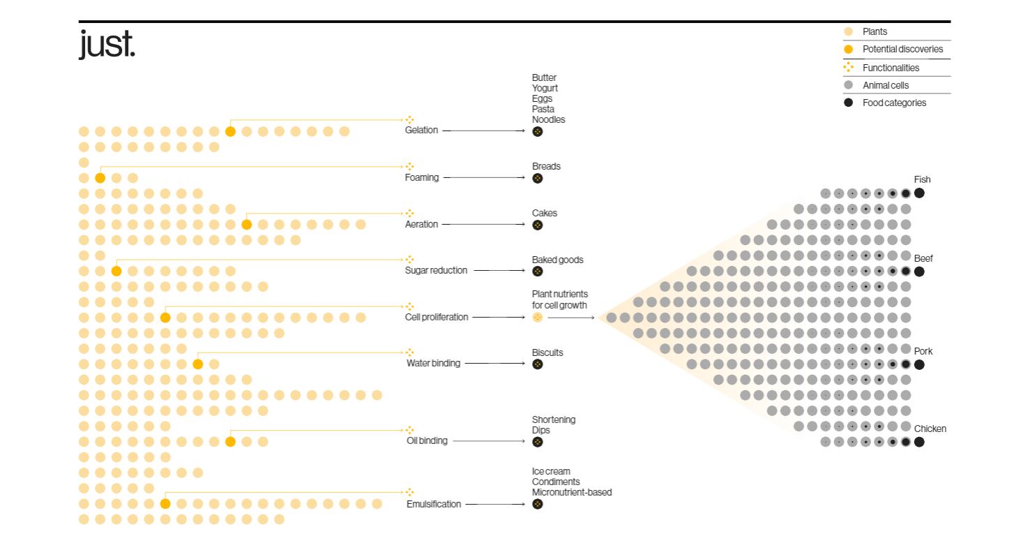 Infographic.png