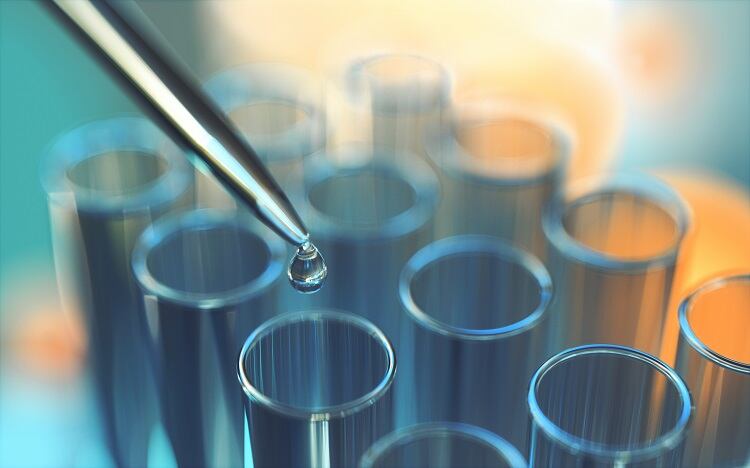 Biotech non-profit launches to mitigate food insecurity in Africa through cell- and plant-based hybrids