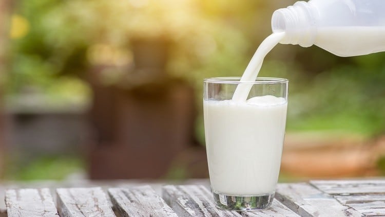 Driving domestic dairy: China’s ‘Excellent Milk’ project pledges further quality and safety advances