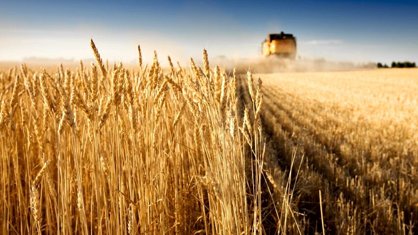 GrainCorp.jpg
