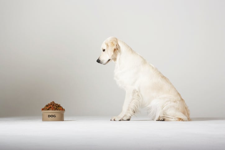 Extrusion enhances amino acid digestibility in grain-free pet food