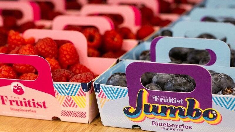 Agrovision-raises-100-million-in-equity-round-leans-on-tech-to-improve-berry-freshness.jpg