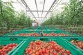 UK food and drink companies keeping up with consumer trend towards healthier choices