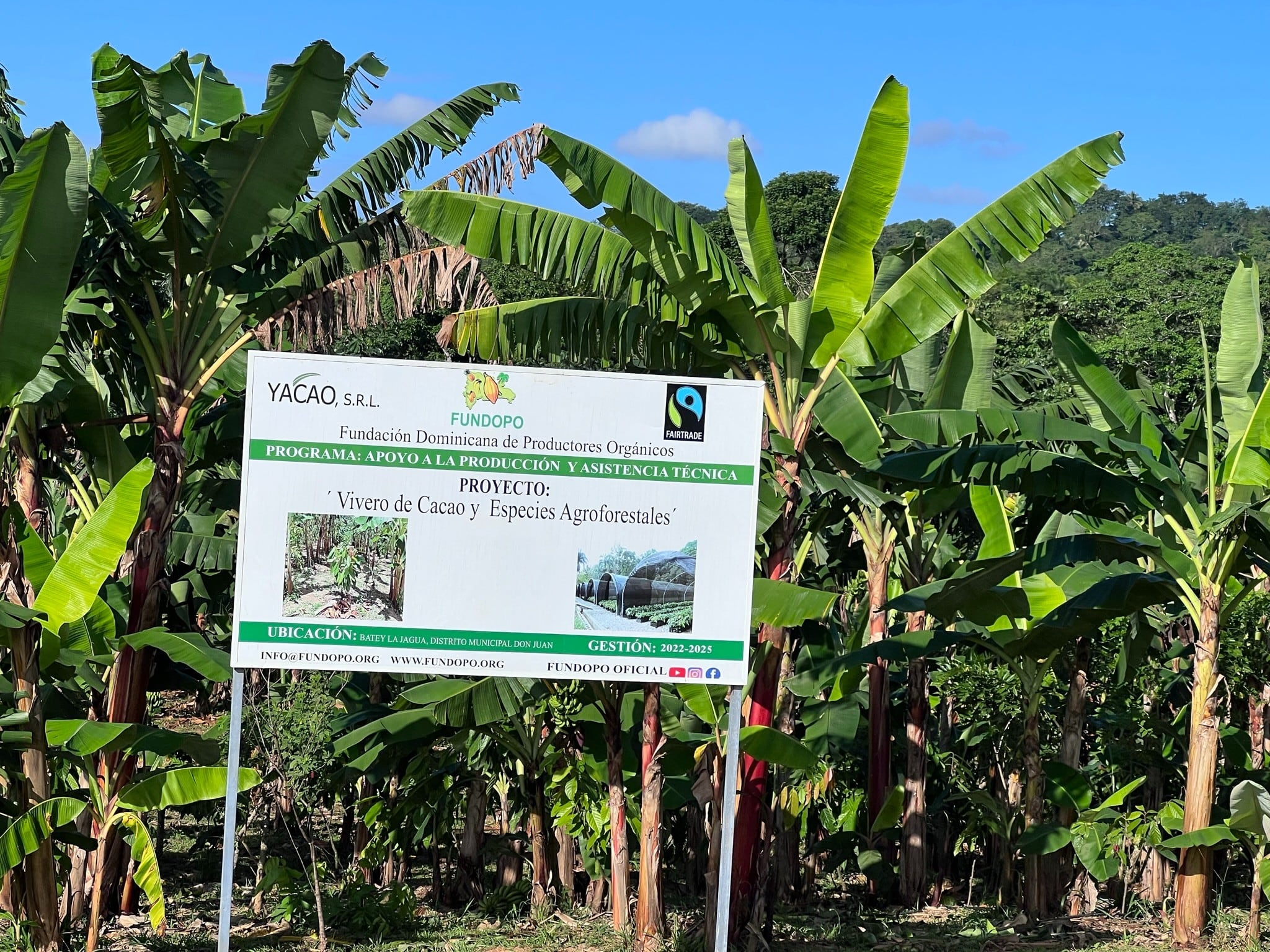 EXCLUSIVE: Cocoa certifications becoming an ‘administration hell,’ farmers and cooperatives claim
