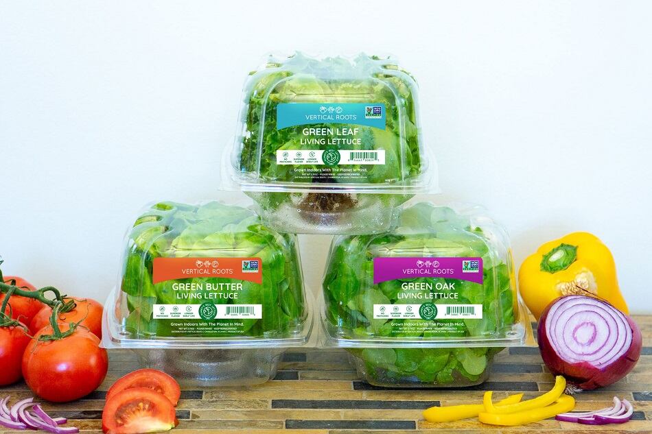 Vertical-Roots-expands-hydroponic-lettuce-offering-to-303-Food-Lion-stores.jpg