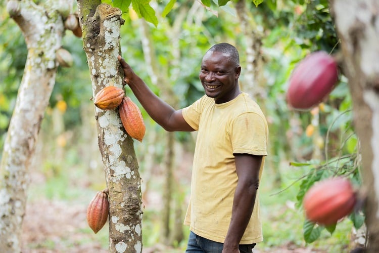 Day-1-Portraits-Farmer-Agronomist_208818327.jpg
