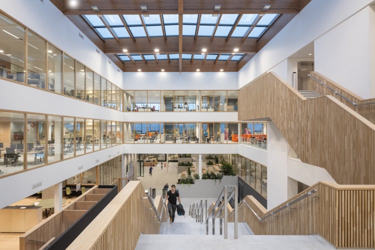 Inside Hive: A deep-dive into Unilever's plant-based innovation drive 