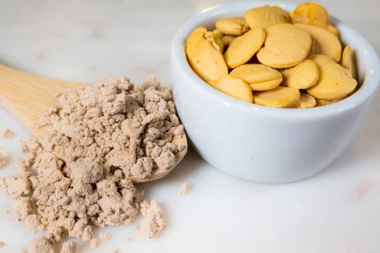 Plant-based innovation: Terviva raises $54m, collaborates with Danone on foods using oils, proteins, from Pongamia trees