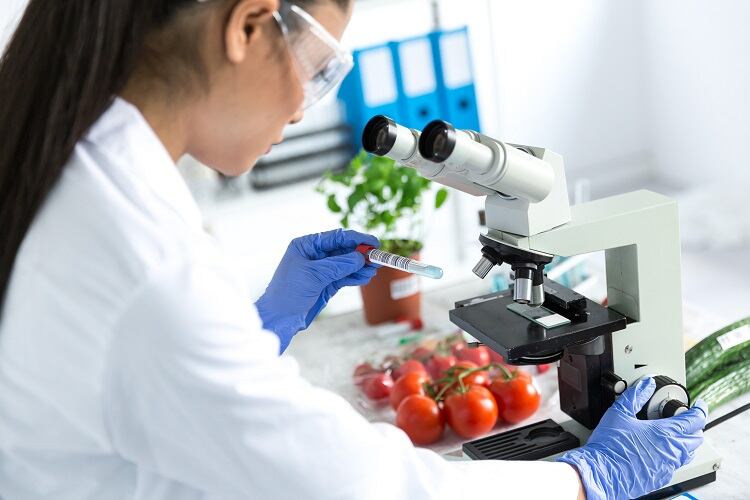 Industry insights from NIZO: Preventing bacterial toxins in food products
