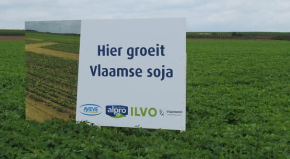 Alpro-converting-Flemish-soy-for-the-food-sector-as-part-of-its-drive-to-boost-European-saucing-in-2017.jpg