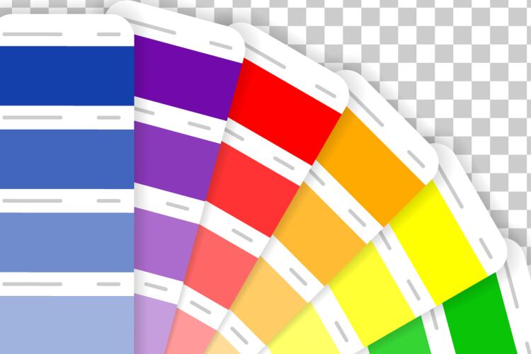 GettyImages-Svitiana-Hruts-colour-palatte.png