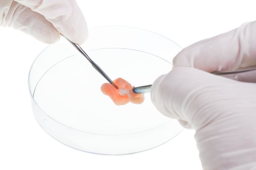 meat-lab-sample.jpg