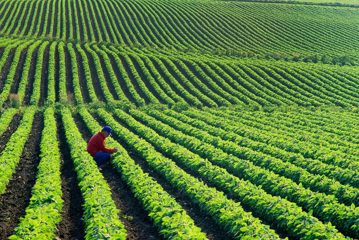 Corteva-Agriscience-cultivates-consumer-centric-and-crops-for-purpose-market-approach-in-recent-spin-off-from-DowDuPont.jpg