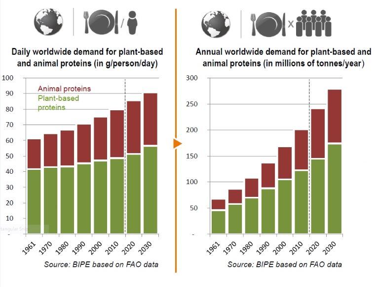 Plant-protein-demand.jpg