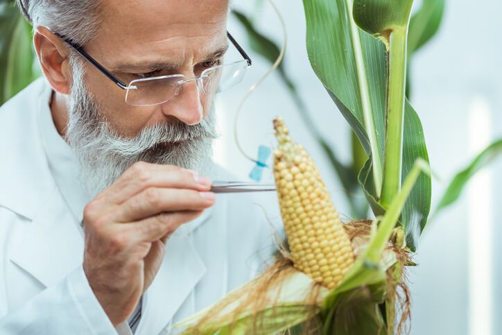 EIC Accelerator programme reveals ‘food system resilience’ as EU priority, but report warns lack of capital is hindering high-potential start-ups