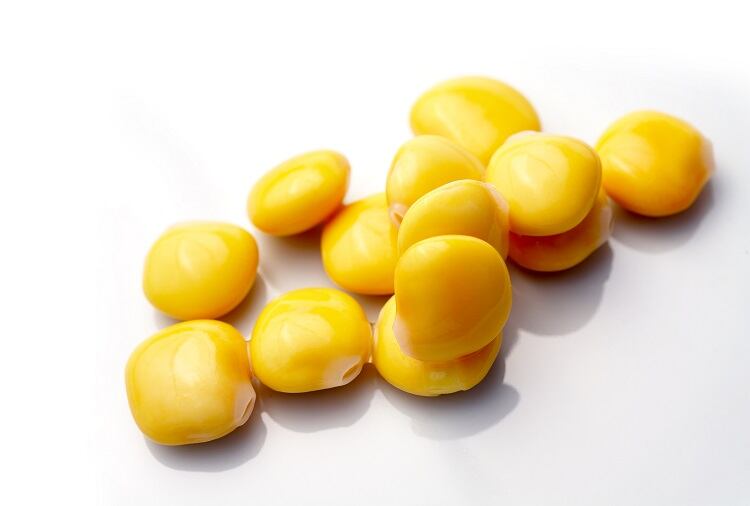 Discovery of lupin ‘sweet gene’ could eliminate bitterness, encourage plant protein diversity