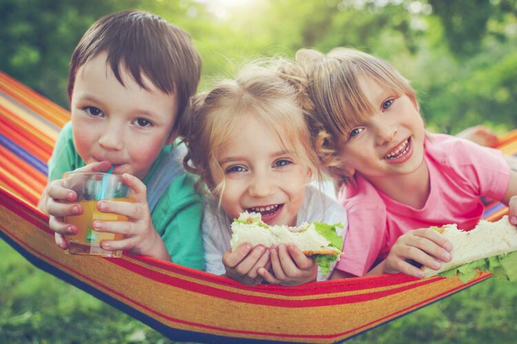 Research sheds light on what makes children fussy eaters