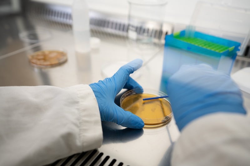 'Urine could save the world'... The start-up turning pee into greener, cheaper fertilizer 