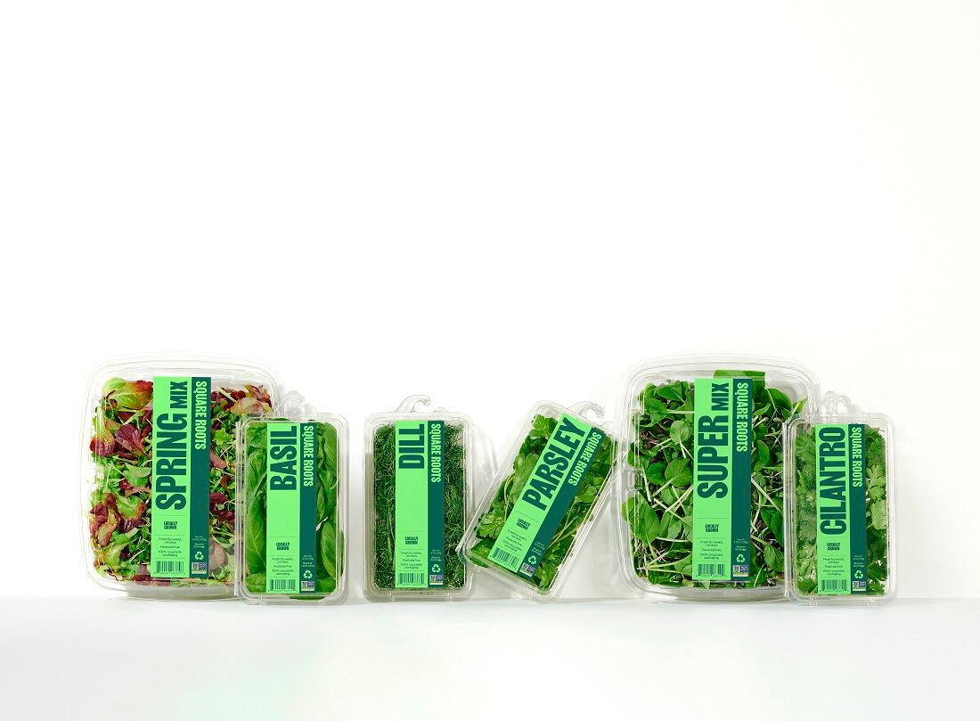 Square-Roots-new-branding-We-have-come-up-with-something-that-is-modern-and-very-arresting-on-shelf.jpg