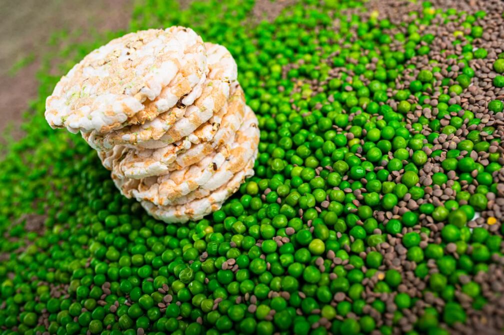 Cerealto Siro and IBM develop trend-spotting AI for agile innovation